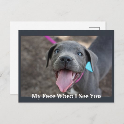 私の顔があなたのかわいい子犬はがきを見る ポストカード (正面/裏面)
