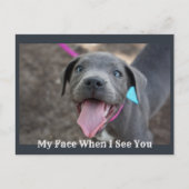 私の顔があなたのかわいい子犬はがきを見る ポストカード (正面)