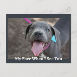 私の顔があなたのかわいい子犬はがきを見る ポストカード