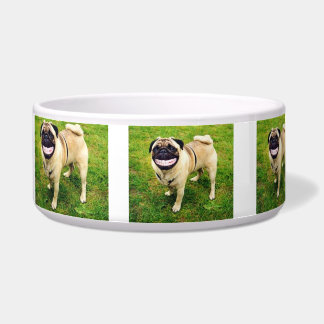 私の食糧ボールを食べること幸せな幸せなスマイル犬 ボウル