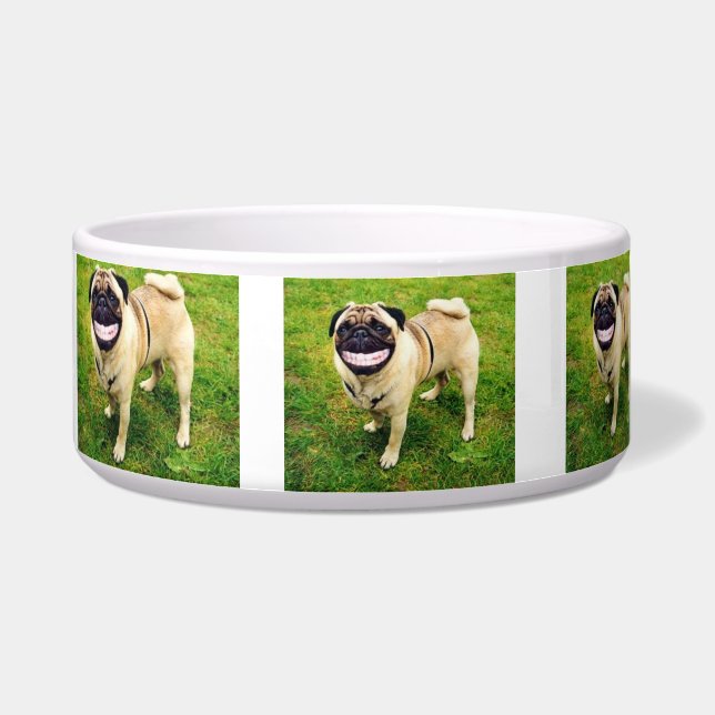 私の食糧ボールを食べること幸せな幸せなスマイル犬 ボウル (右)