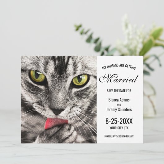私の飼い主が結婚するねこ写真ウェディング セーブザデート (スタンド正面)