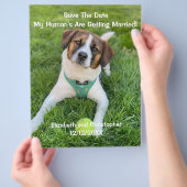 私の飼い主たちは結婚するよ！エンゲージメントフォト チラシ (手)