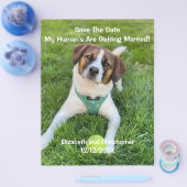 私の飼い主たちは結婚するよ！エンゲージメントフォト チラシ (シングル)