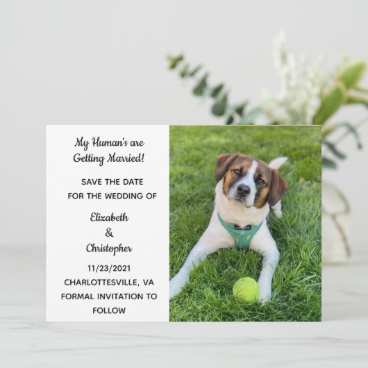 私の飼い主たちは結婚するよ 犬の写真 保存してね セーブザデート (スタンド正面)