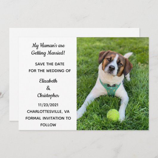 私の飼い主たちは結婚するよ 犬の写真 保存してね セーブザデート (正面/裏面)