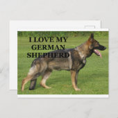 私の黒いドイツ牧羊犬が大好き ポストカード (正面/裏面)