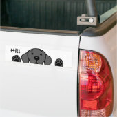 私の黒い実験室"こんにちは!! " バンパーステッカー (トラック上)