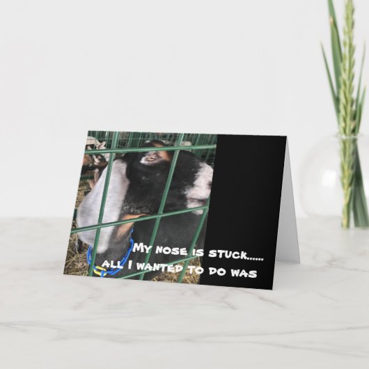 私の鼻は「言いたいことだけ」誕生日 カード (正面)