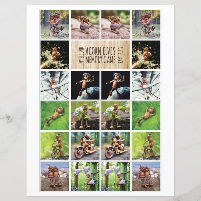 私の2番目のAcorn小妖精や小人メモリゲーム3/3 (正面)