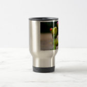 私の….. トラベルマグ (中央)