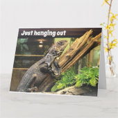 私の「古い兄弟姉妹」に「70番目」の誕生日を喜ぶ カード (黄色い花)