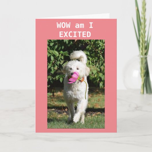 私の*孫娘*カードへのハッピーバースデー カード (正面)