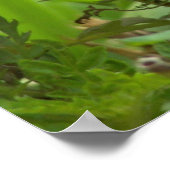 私の(昆虫)オオカバマダラ、モナークバタフライポスター ポスター (角)