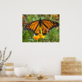 私の(昆虫)オオカバマダラ、モナークバタフライポスター ポスター (キッチン)