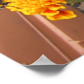 私の（昆虫）オオカバマダラ、モナーク蝶ポスター ポスター (角)