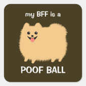 私のBFFはPoof Ballである – ふわふわのポメラニア犬犬 スクエアシール (正面)