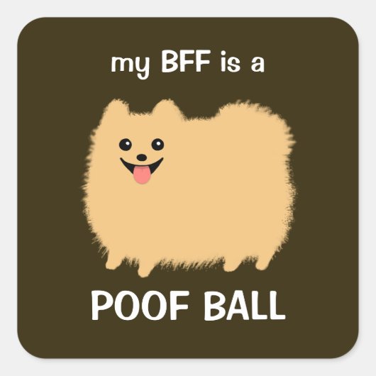 私のBFFはPoof Ballである – ふわふわのポメラニア犬犬 スクエアシール (正面)
