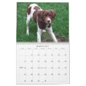 私のBrittanys 2011年 カレンダー (3月 2027)