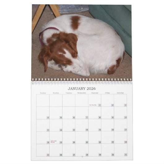 私のBrittanys 2011年 カレンダー (1月 2026)