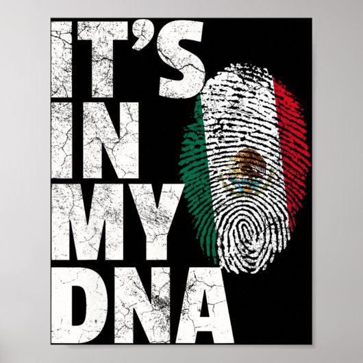 私のDNAにはメキシコ国旗 シンコデマヨ S ポスター (正面)