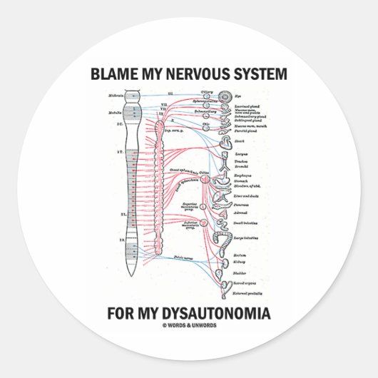 私のDysautonomiaを私の神経系の責任にして下さい ラウンドシール (正面)