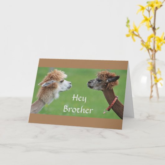 私のFAVのための兄弟ユーモア*姉妹の*誕生日! カード (黄色い花)