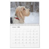 私のGBGVの生命2017カレンダー カレンダー (1月 2026)