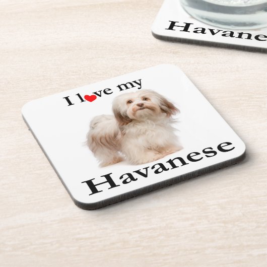 私のHavaneseのコースターセットを愛して下さい コースター (左側)