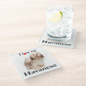 私のHavaneseガラスのコースターを愛して下さい ガラスコースター (アングル)