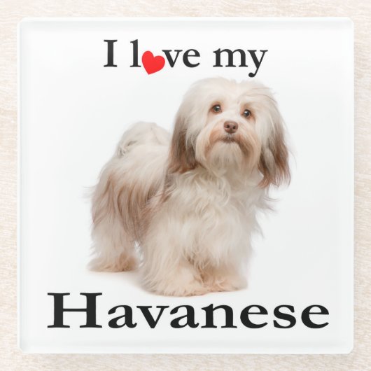 私のHavaneseガラスのコースターを愛して下さい ガラスコースター (正面)