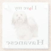 私のHavaneseガラスのコースターを愛して下さい ガラスコースター (裏面)