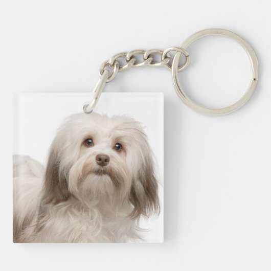 私のHavanese Keychainを愛して下さい キーホルダー (裏面)
