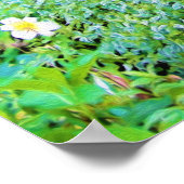 私のRubio Gardenでツリーリリーと明るい日の出 ポスター (角)