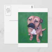 私のstaffy 2012年 ポストカード (正面/裏面)