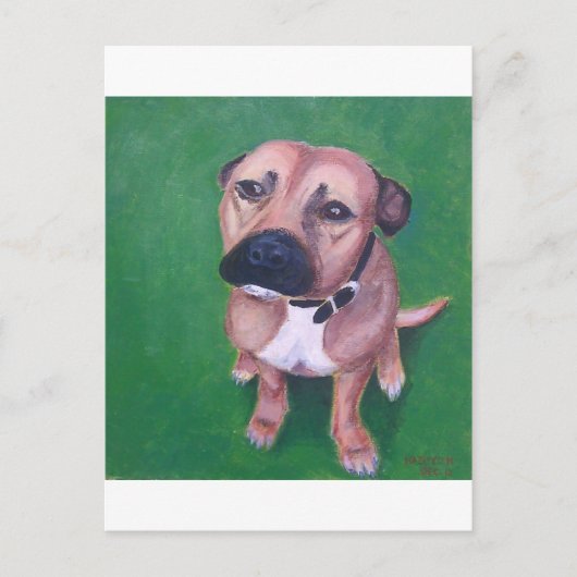 私のstaffy 2012年 ポストカード (正面)