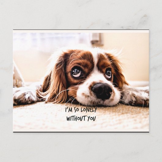私はあなたがいなくて淋しい ポストカード (正面)