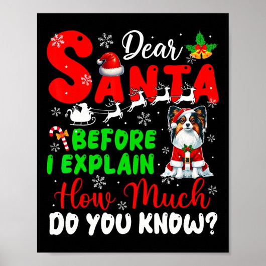 私はあなたがパピロンOを知っているクリスマスを説明する前 ポスター (正面)