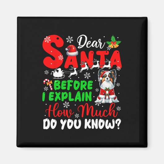 私はあなたがパピロンOを知っているクリスマスを説明する前 マグネット (正面)