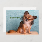 私はあなたが子犬の挨拶を愛している ポストカード (正面/裏面)