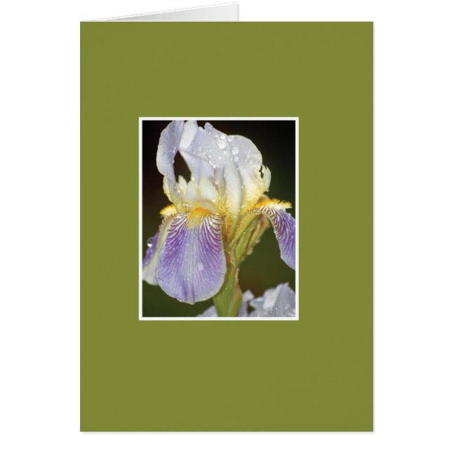 私はあなたと活気付きます (正面)