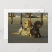 私はあなたと話さない ポストカード (正面/裏面)