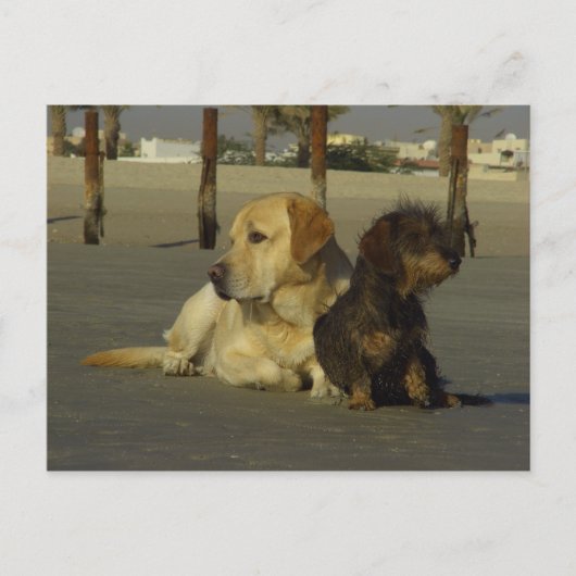 私はあなたと話さない ポストカード (正面)