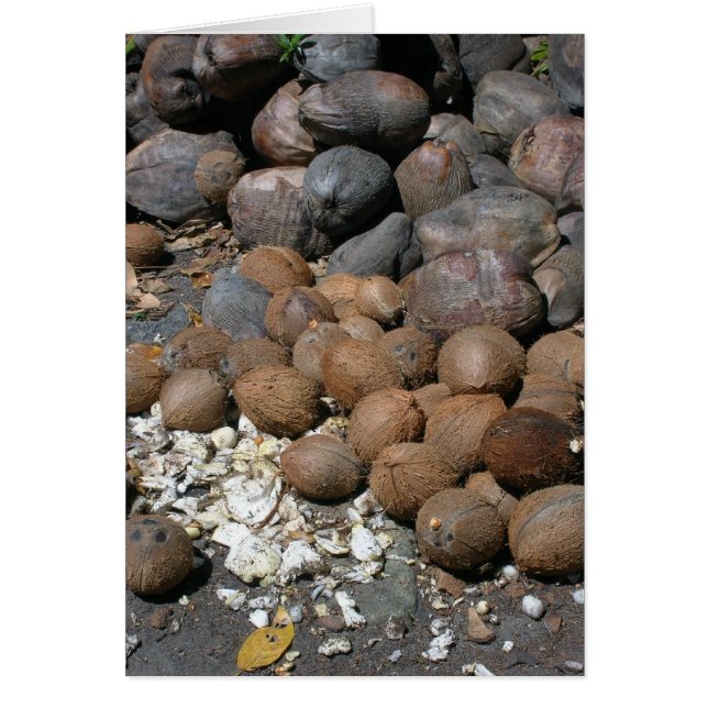 私はあなたについてくだらないです! (正面)