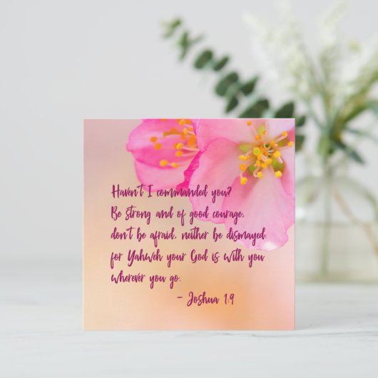 私はあなたにキリスト教のフローラを命じなかった (スタンド正面)