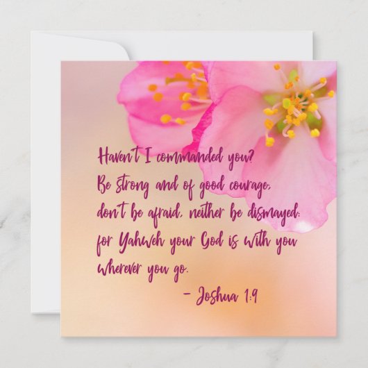 私はあなたにキリスト教のフローラを命じなかった (正面)