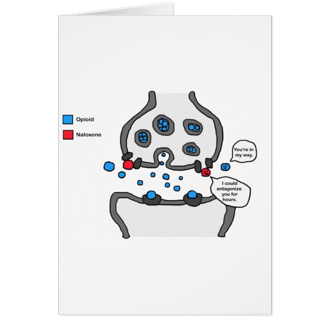 私はあなたに反感を持たせた (正面)