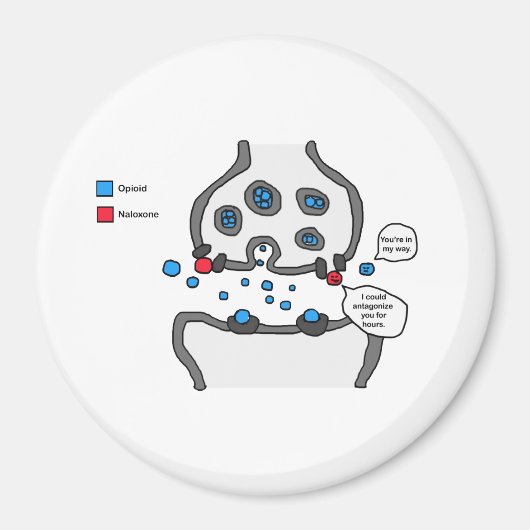 私はあなたに反感を持たせた マグネット (正面)