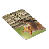 私はあなたのかわいいリス登山ツリー写真が大好き マグネット (右側)