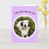 私はあなたのかわいい犬のバレンタインに目しか持っていない カード (黄色い花)